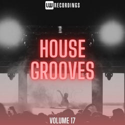 House Grooves, Vol. 17