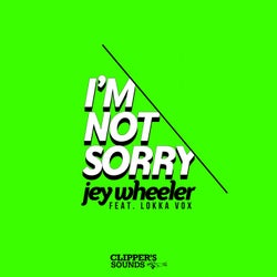 I'm Not Sorry (feat. Lokka Vox)