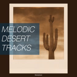 Melodic Desert Tracks