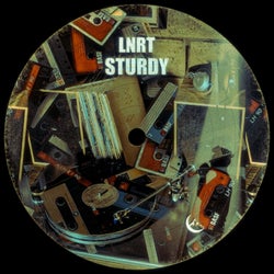 Sturdy (Extended Mix)