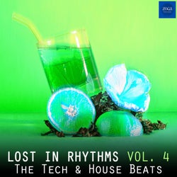 Lost in Rhythms, Vol. 4 (The Tech & House Beats)