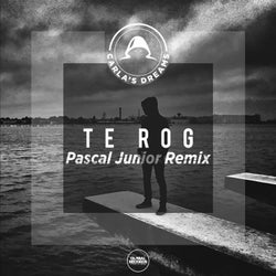 Te Rog (Pascal Junior Remix)