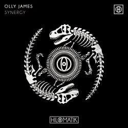 Synergy (Extended Mix)
