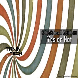 Yes Or Not