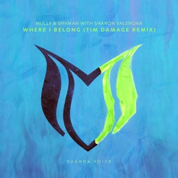 Where I Belong (Tim Damage Remix)