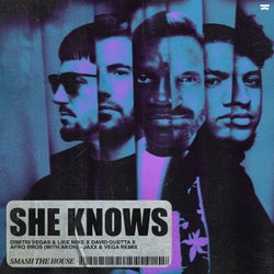 She Knows (with Akon) (Jaxx & Vega Extended Remix)