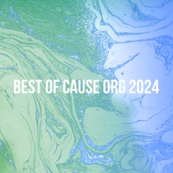 BEST OF CAUSE ORG 2024