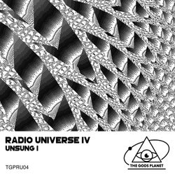 Radio Universe IV