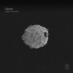 Field Of Force EP