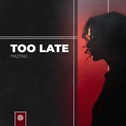 Too Late (Extended Mix)