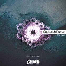 Cavitation Project