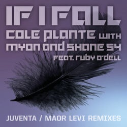 If I Fall (Remixes)