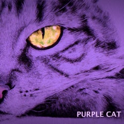 PURPLECAT