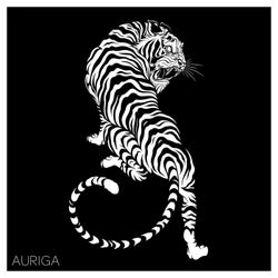 Auriga (Extended Mix)