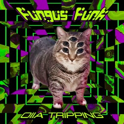 Oiia Tripping