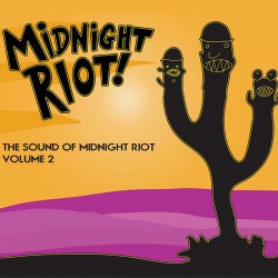 Midnight Riot Vol 2