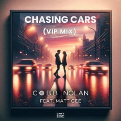 Chasing Cars (feat. Matt Gee) [VIP Mix]