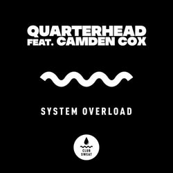 System Overload (feat. Camden Cox) [Extended Mix]