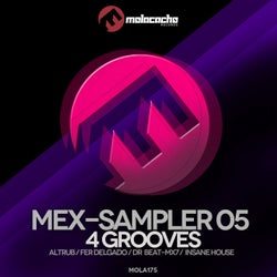 Mex Sampler, Vol. 5 (4 Grooves)