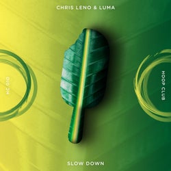 Slow Down (Extended Mix)