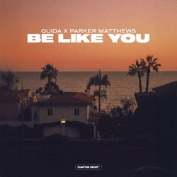Be Like You