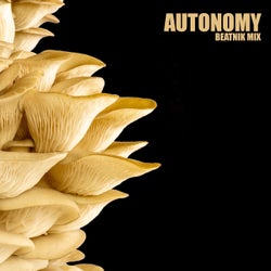 AUTONOMY (BROKEN BEAT MIX)