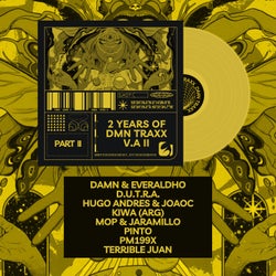 2 Years Of DMN TRAXX (Part II)