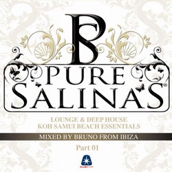 Pure Salinas, Vol. 2 (Compiled By Bruno from Ibiza)