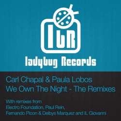 We Own The Night - The Remixes