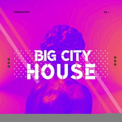 Big City House, Vol. 1