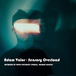 Sensory Overload (EXTENDED MIX)