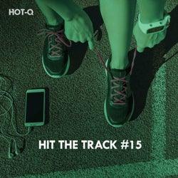 Hit The Track, Vol. 15
