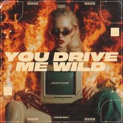 You Drive Me Wild