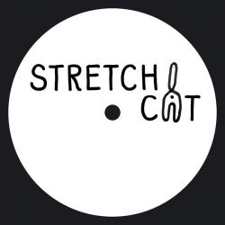 Stretchcat 01