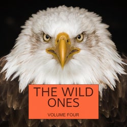 The Wild Ones, Vol. 4 (Amazing Tech House Tunes That Make You Feel Young, Wild And Free Again)