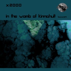 In the Womb of Kinnahult
