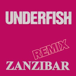 Zanzibar (Remix)