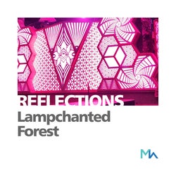 Reflections: Lampchanted Forest
