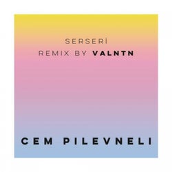 Serseri (VALNTN Remix)