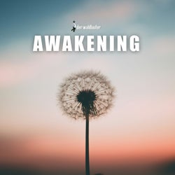 Awakening