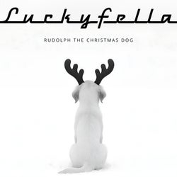 Rudolph The Christmas Dog