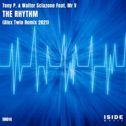 The Rhythm (feat. Mr V) [Alex Twin Remix]