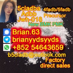5cladba BMK,PMK ADBB adb-butinaca powder