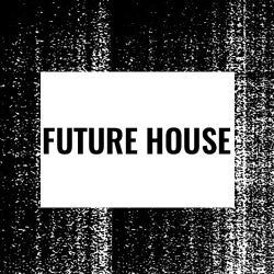 Floor Fillers: Future House