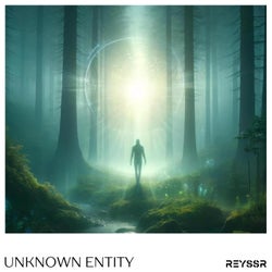 Unknown Entity