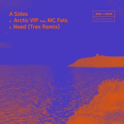 Arctic VIP ft. MC Fats / Need (Trex Remix)