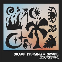 Shake Feeling