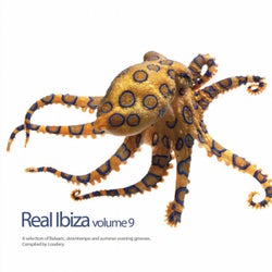 Real Ibiza Volume 9