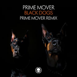Black Dogs - Prime Mover Remix