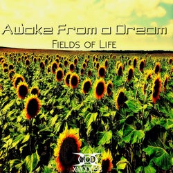 Fields Of Life